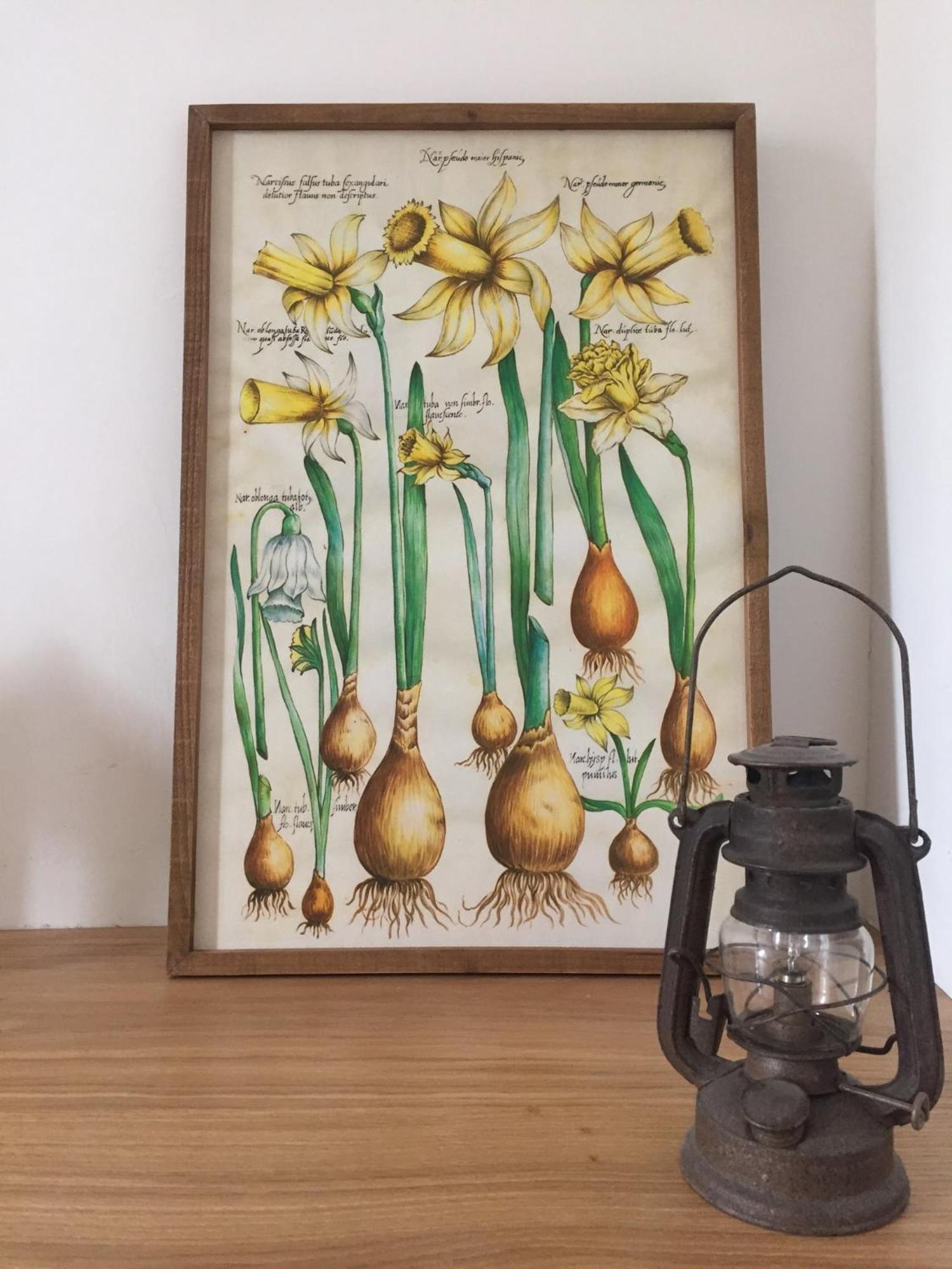 מלון Comptoir D אוברק מראה חיצוני תמונה